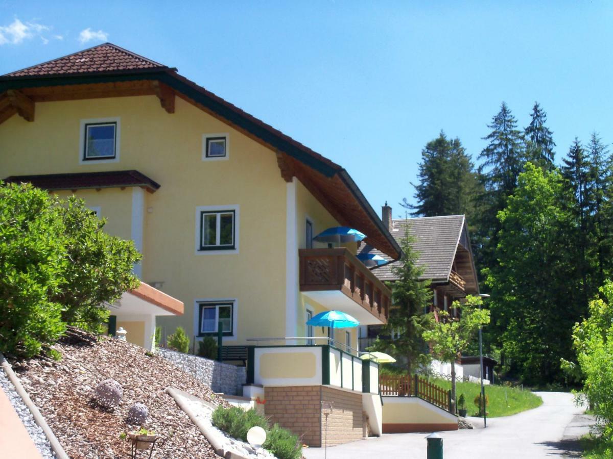 Appartamento Haus Mary Russbach am Pass Gschütt Esterno foto